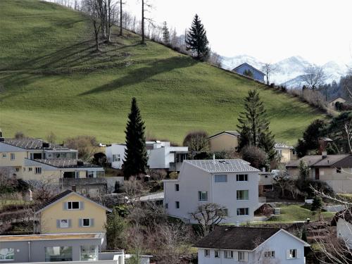 Neubau EFH Einfamilienhaus Verputz grob Architektur Bauleitung Schwellbrunn